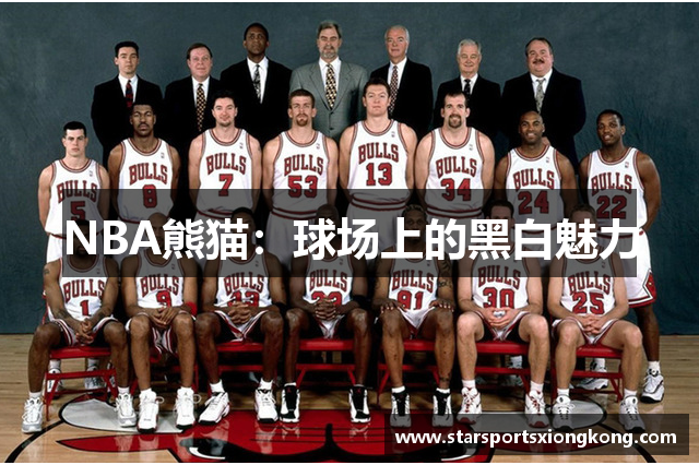 NBA熊猫：球场上的黑白魅力
