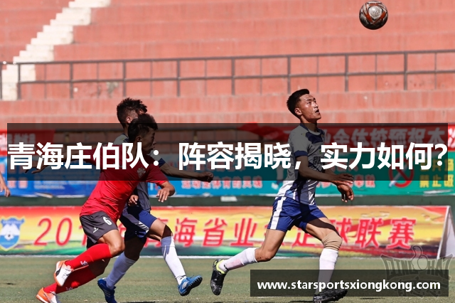 青海庄伯队：阵容揭晓，实力如何？